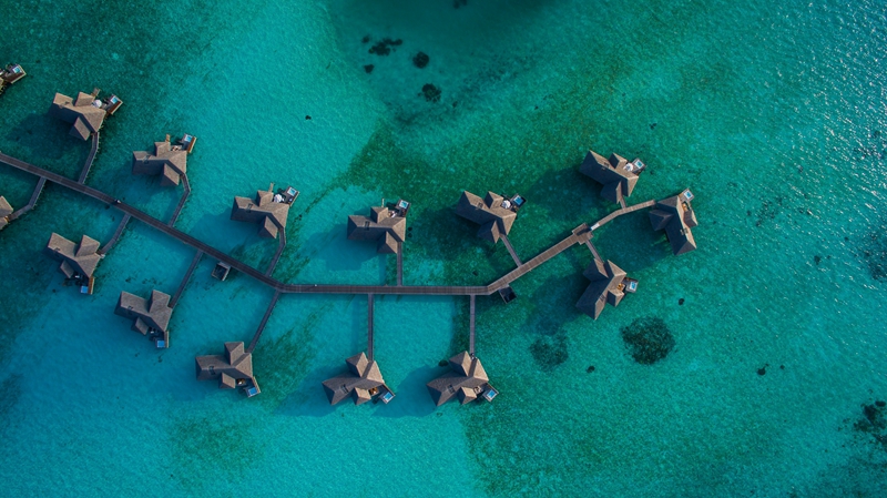 这个旅游胜地还是先别去了！马尔代夫延长全国紧急状态30天