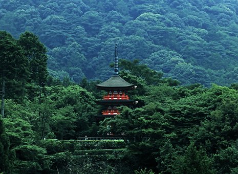 日本将征“出国税”：日本人外国人，谁也别想跑！