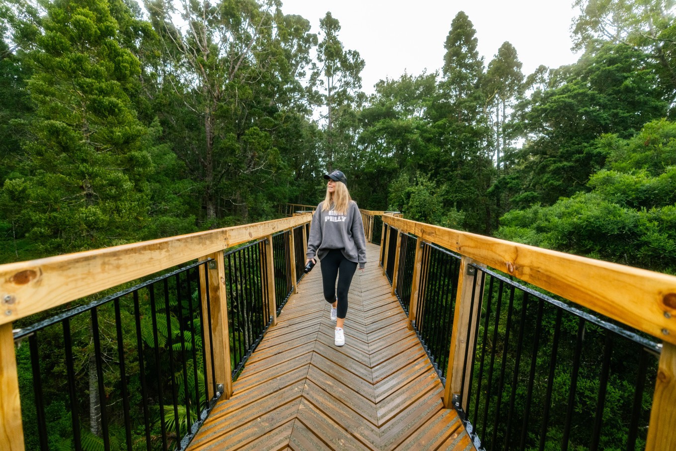 kauri-glen