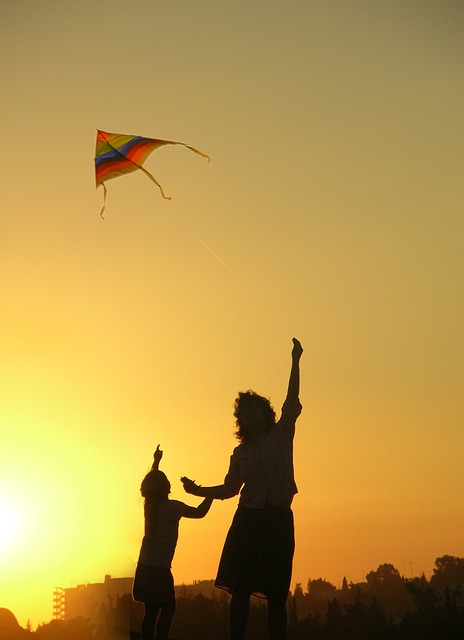kite 1666816 640