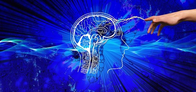 研究：新冠病毒会造成脑损伤 或产生中风、精神疾病