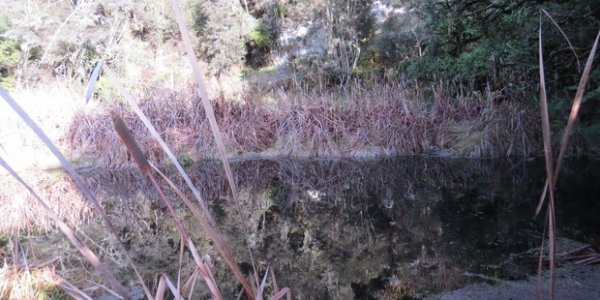 lagoon 1