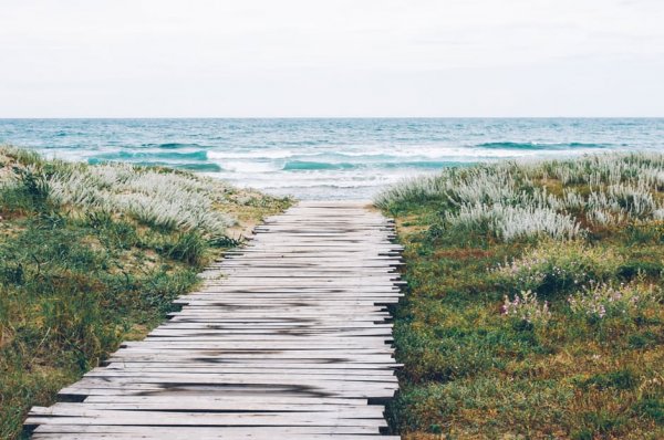 landing stage sea nature beach