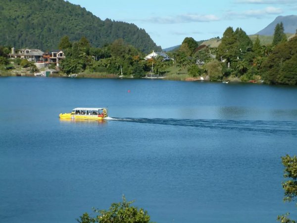 loving rotorua 11