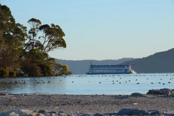 loving rotorua 12
