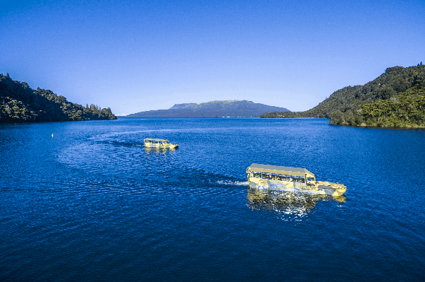 loving rotorua 12