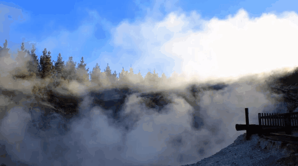 loving rotorua 13