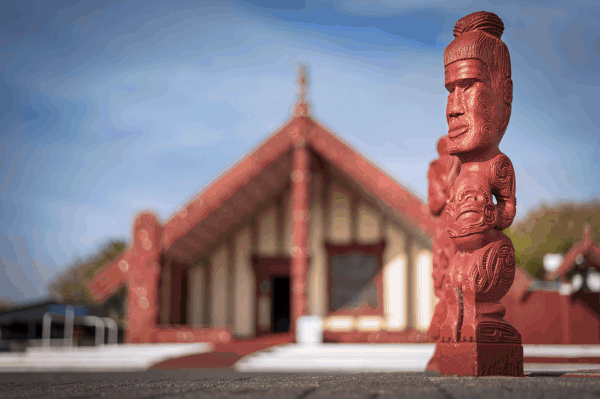 loving rotorua 14