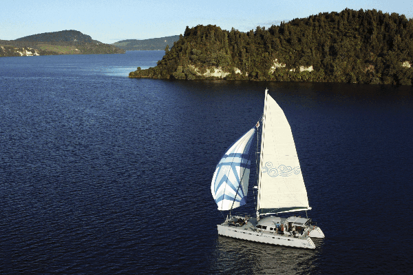 loving rotorua 15