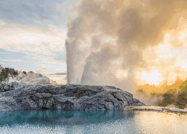 loving rotorua 3