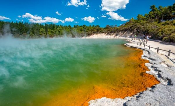 loving rotorua 7