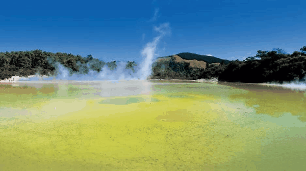 loving rotorua 7