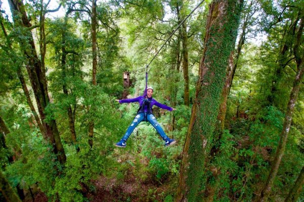 loving rotorua 9
