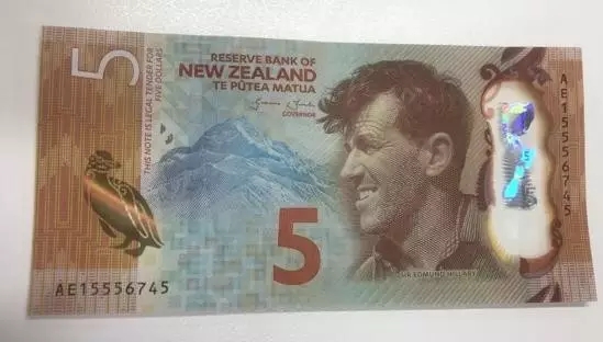 money nzd.webp