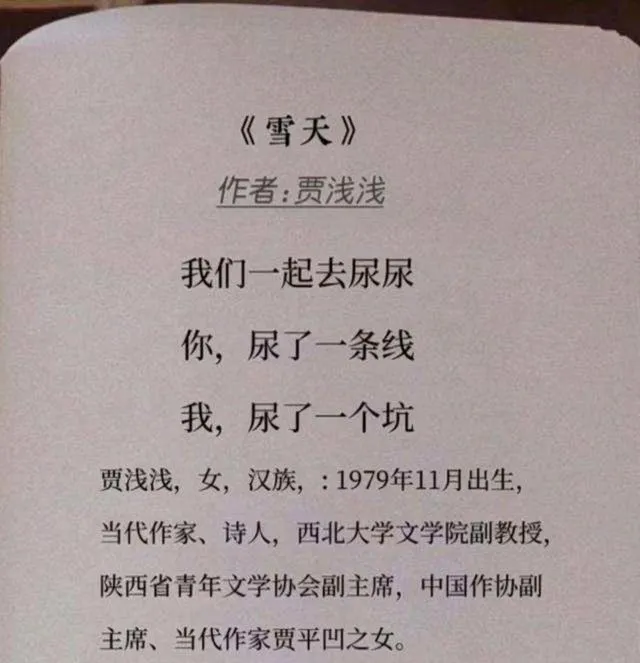 贾浅浅,连研究亲爹贾平凹的论文都是抄的啊??