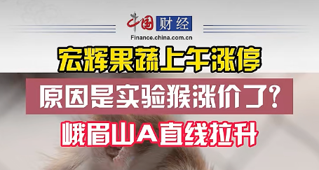 贾浅浅,连研究亲爹贾平凹的论文都是抄的啊??