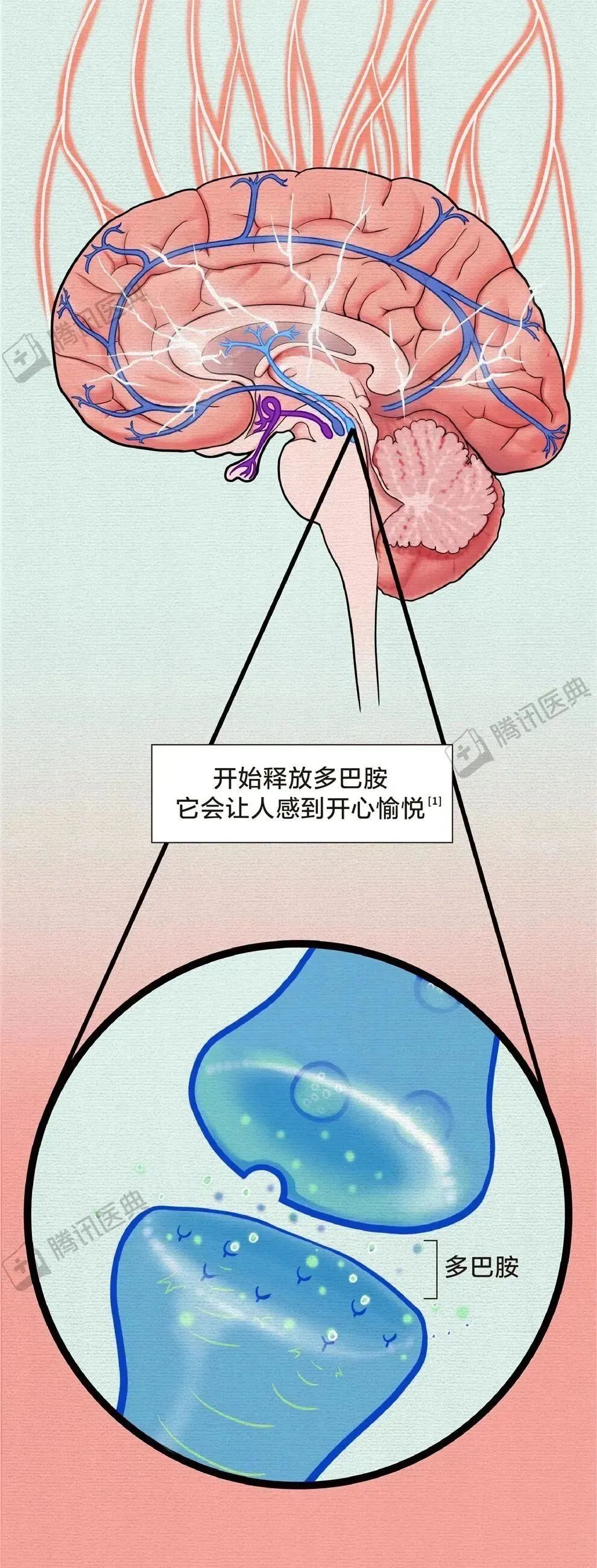抛开偏见谈奶茶:只要符合4个条件,不必完全戒掉!