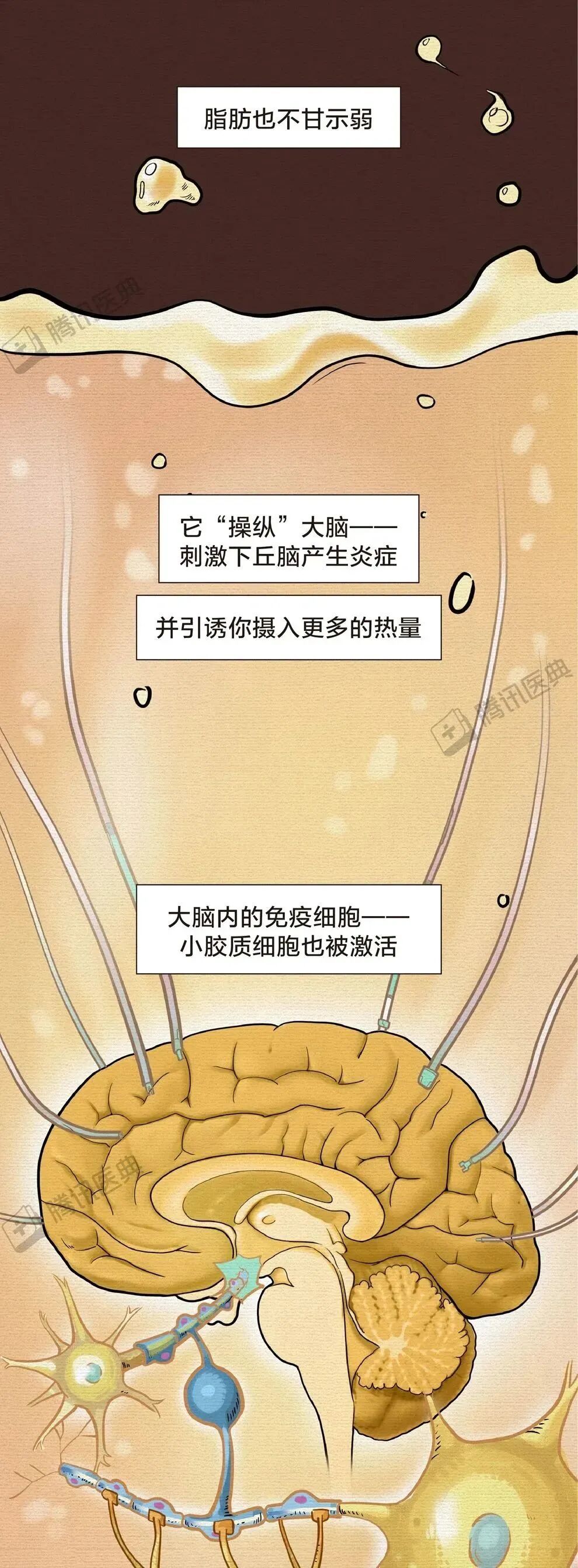 抛开偏见谈奶茶:只要符合4个条件,不必完全戒掉!