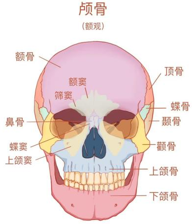 半边头骨摔碎!深圳男子洗澡时脚下一滑,头部重重撞向地面!这些细节很重要