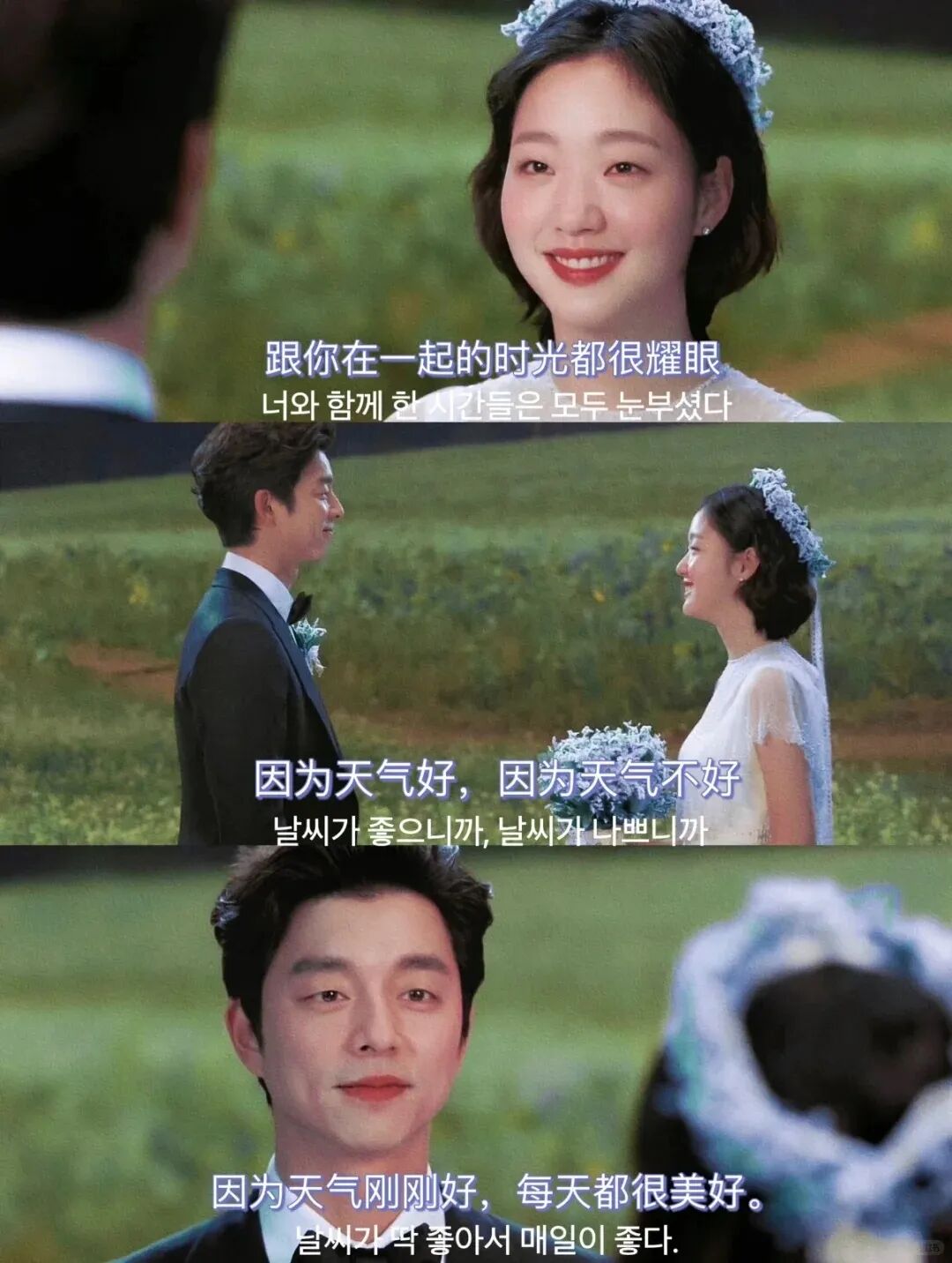 孔刘现场求婚金高银?网友:10年了,我磕的CP居然成真了!