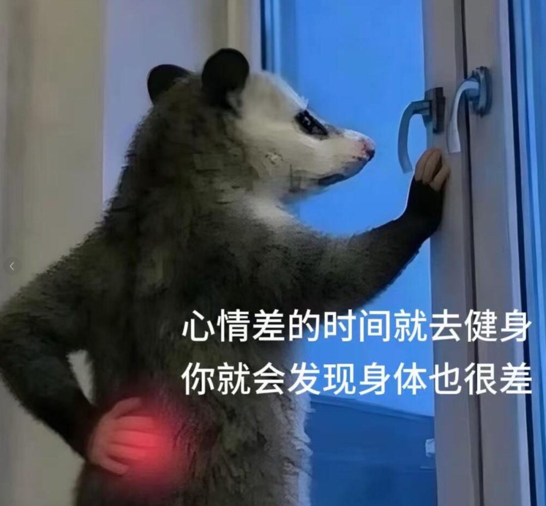 哈兰德生吃内脏、C罗一天睡5觉?学球星养生,这几点就够了!