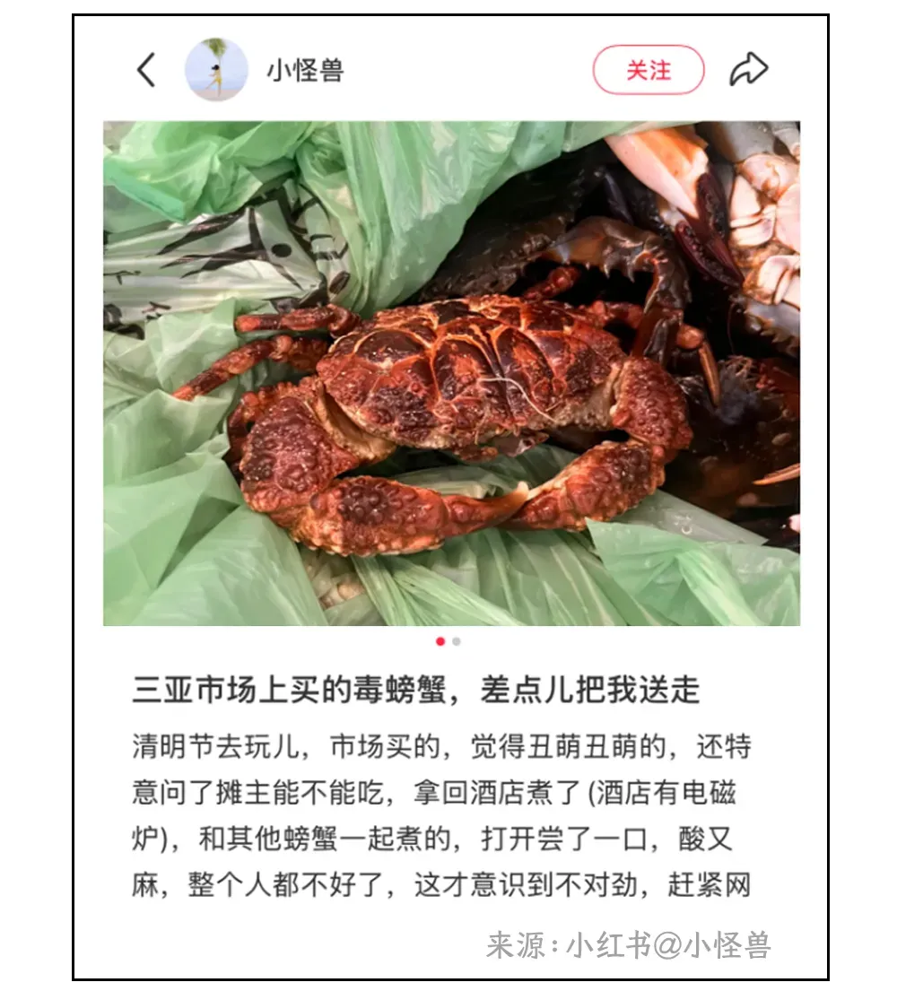 你在路边大排档吃的生蚝,居然是假的“组装蚝”?!