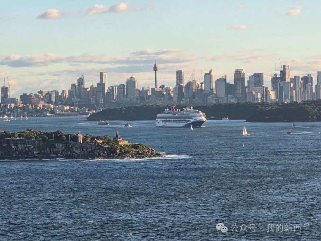 新西兰华人孩子走“捷径”，提前2年拿到澳洲护照，“一个月就批了”
