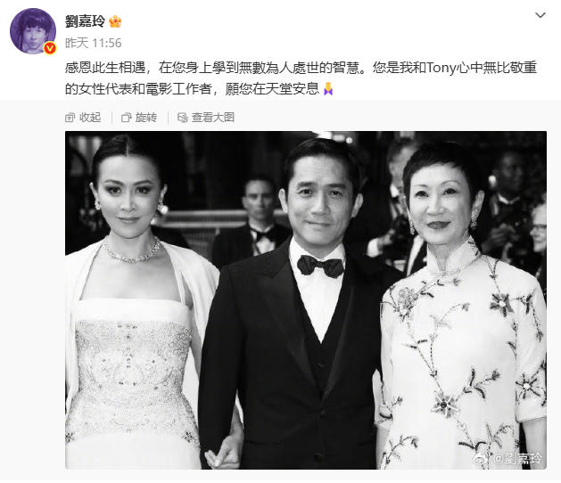 徐克、霍启刚、林青霞、张艾嘉、周润发、蔡康永、梁朝伟、刘嘉玲、李冰冰等，送别施南生-中新网
