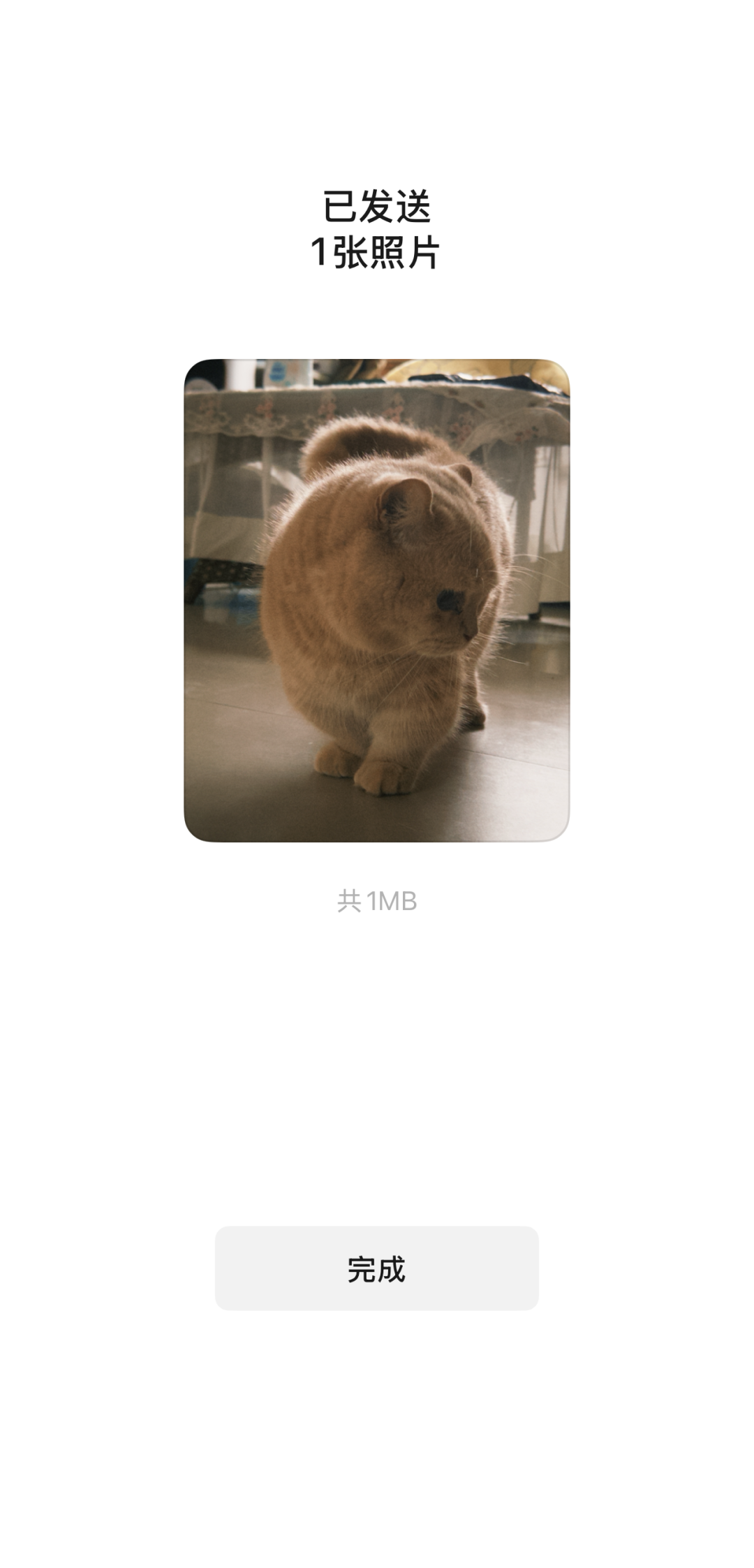 冲上热搜!不加微信好友,怎么用微信?