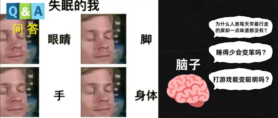 睡得少真的会变笨吗？