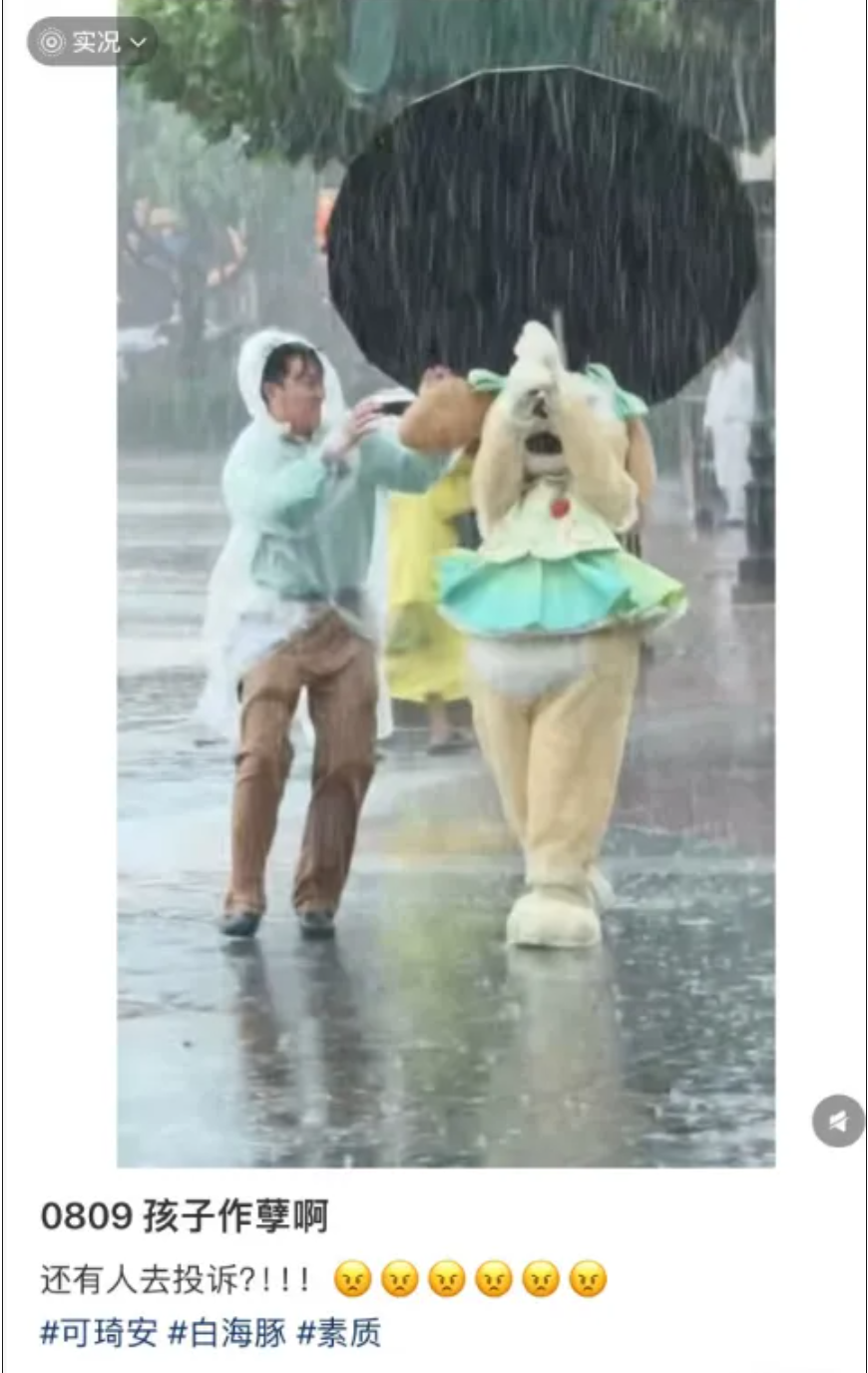 暴雨天“仍在营业”？网友看不下去，上海迪士尼回应
