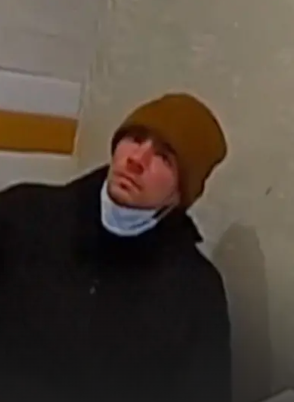 路易吉认罪了!律师接连替他扳回两局,甚至躲过死刑。这次认罪,却是一招险棋...
