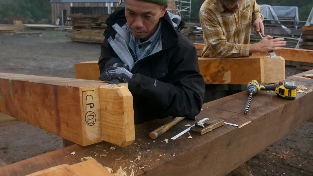 全新西兰可能只有他一个人!能干这个绝活……