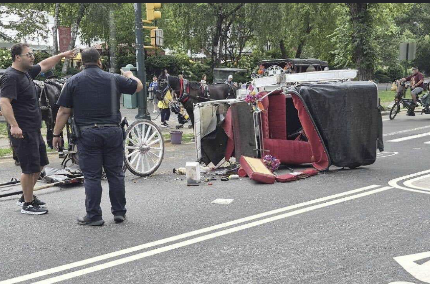 暑假赴美旅游成悲剧! 18岁少年为救妈妈坠车身亡,家人回国后,向纽约天价索赔1.05亿美元