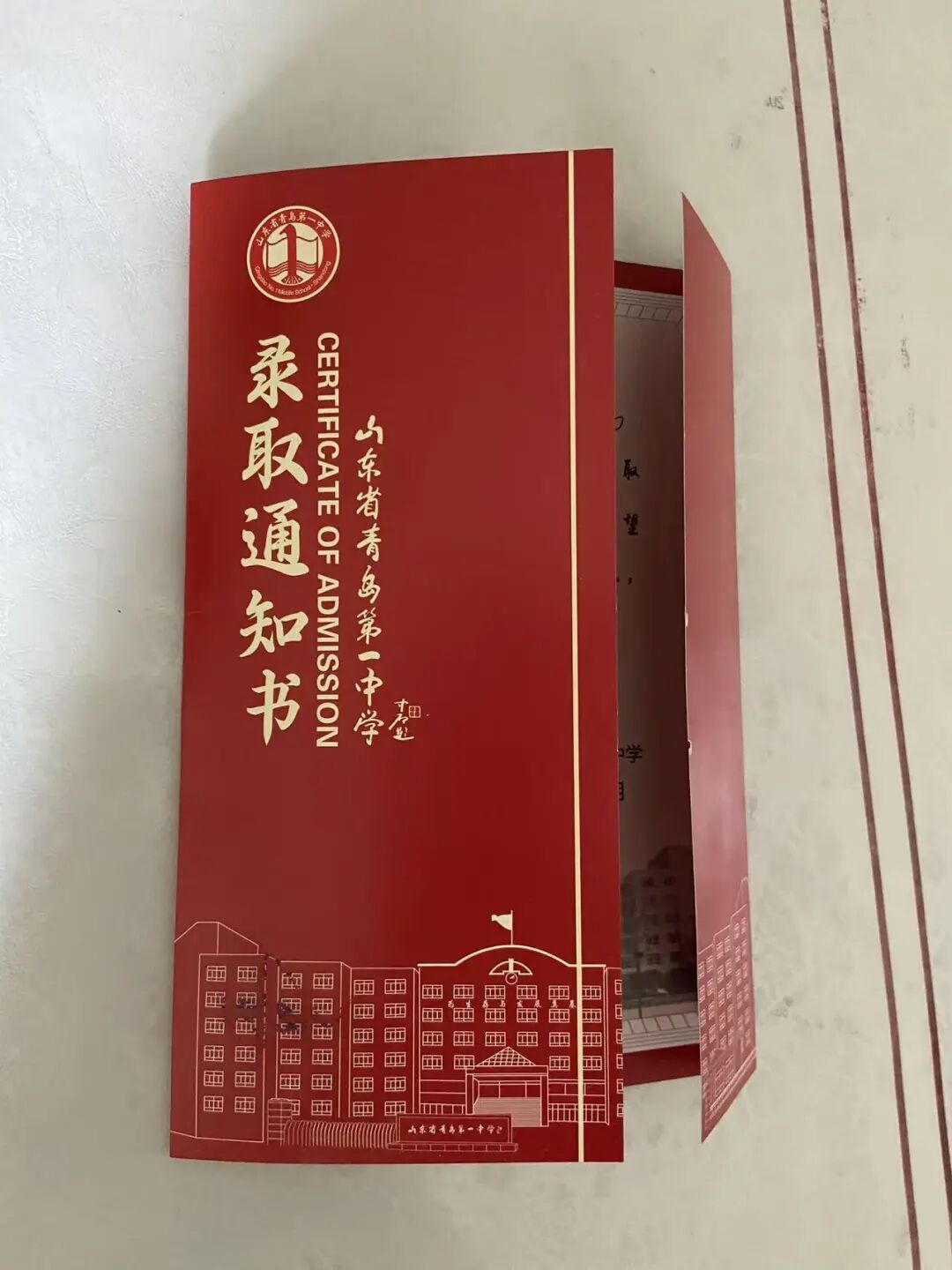 三阴乳腺癌7年后，她等来了儿子高中录取通知书！