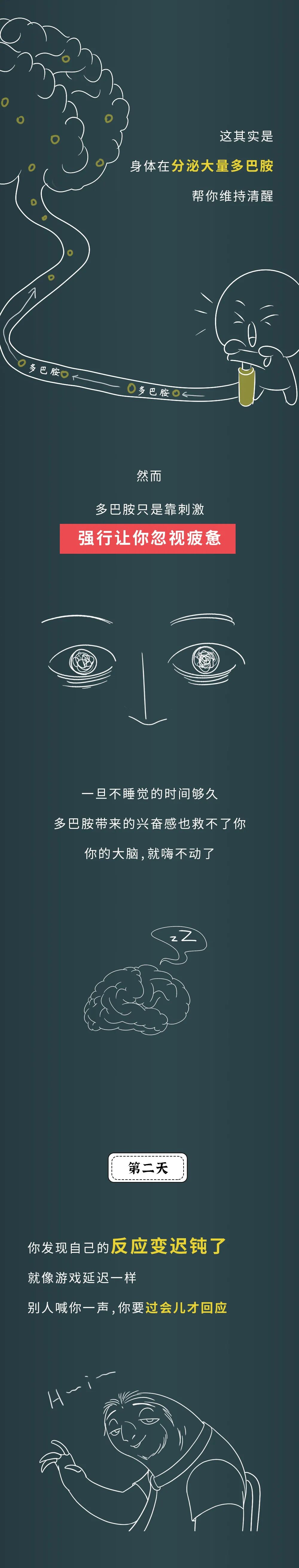 人如果一直不睡觉，第几天会死？🧐