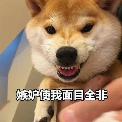 明星搞钱哪家强？章子怡投资套现3亿赚肿了！内娱新一代金融女神上线