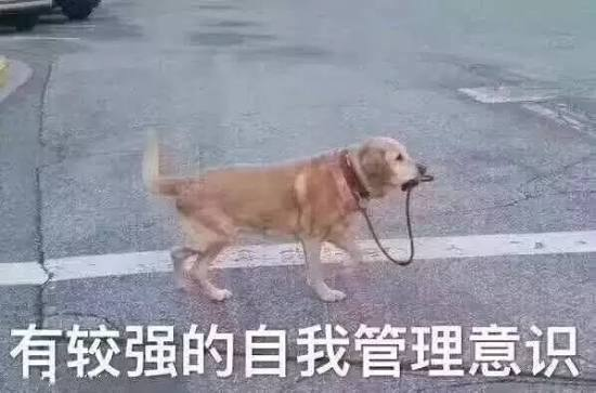 甲醛蘸白菜后,敌敌畏也进了餐厅