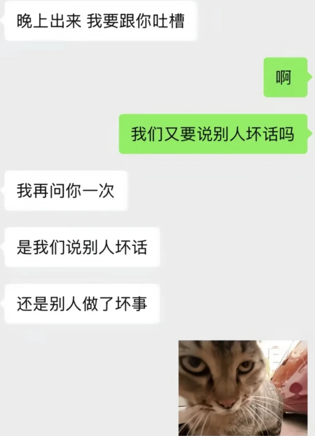 报警人就是凶手，25岁的她倒在回国前夕