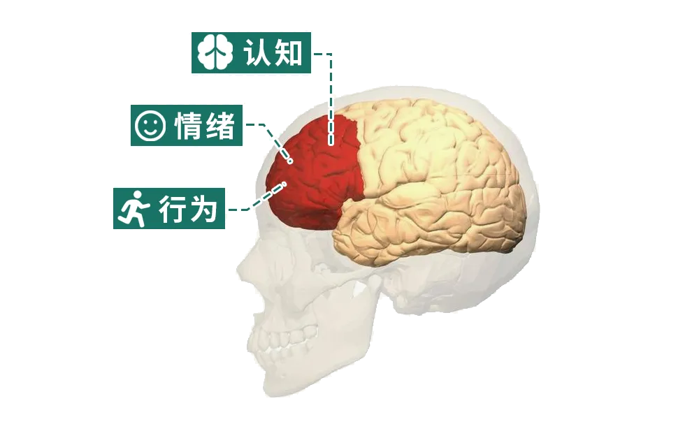 注意!经常做这一种梦,说明你的大脑正在退化!!