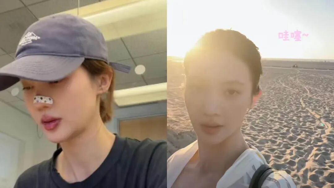 金晨退圈去留学了？