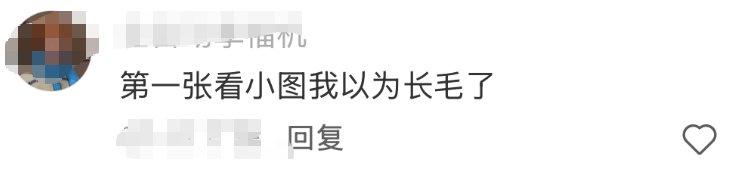 林峰卖月饼太妖娆！网友：“人老了干啥都心酸”