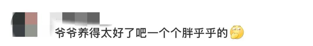 现实版“爷爷和7个葫芦娃”,突然爆火!