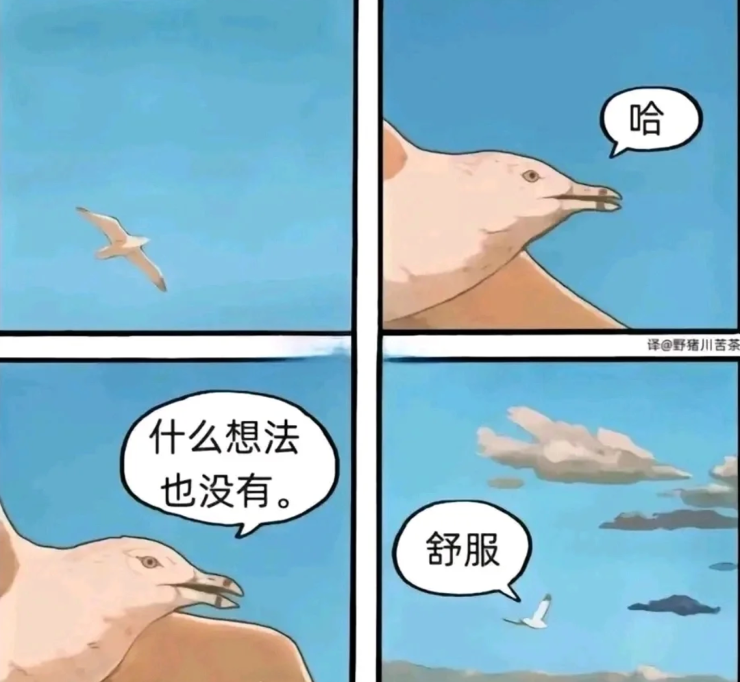 一种看起来没出息,实际上很高级的人生状态