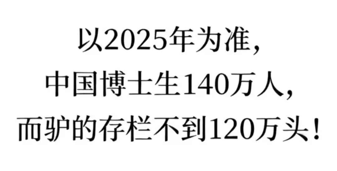 顶级赛事只能靠选手弃赛救人,救援人员临阵脱逃有错吗?