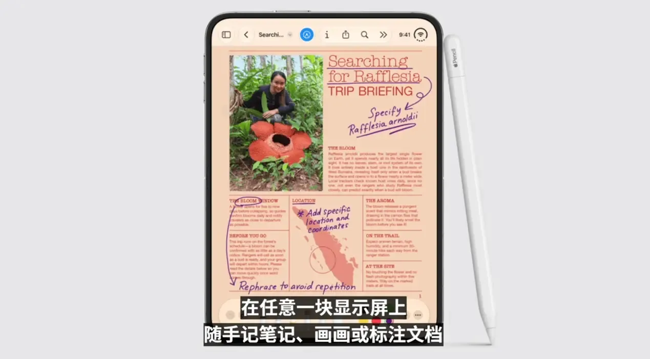 一文看懂苹果发布会:新掌舵人首秀、全新A20 Pro芯片、首款折叠屏iPhone起售价15999元