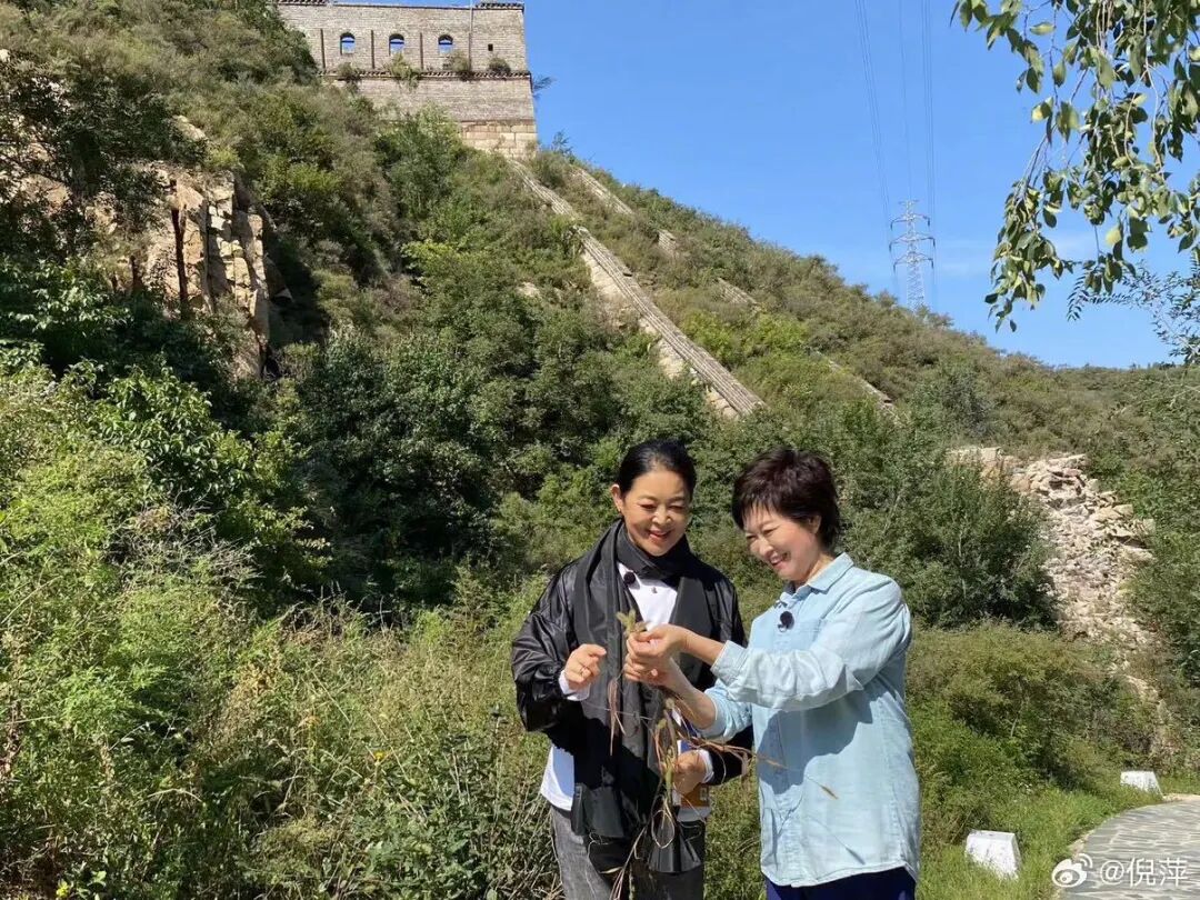 倪萍长文追忆敬一丹:我流着无尽的泪水,跟你说一声对不起,三千公里山海相隔,我终究无法赶回去送你最后一程