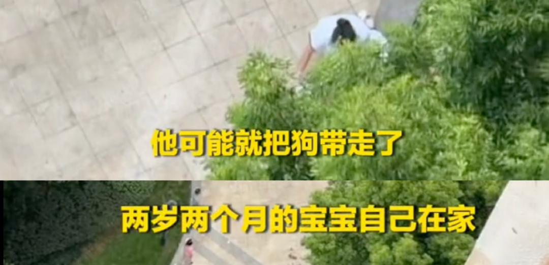 父亲遛狗时2岁孩子坠亡,父亲的责任就是一句“愧疚”???