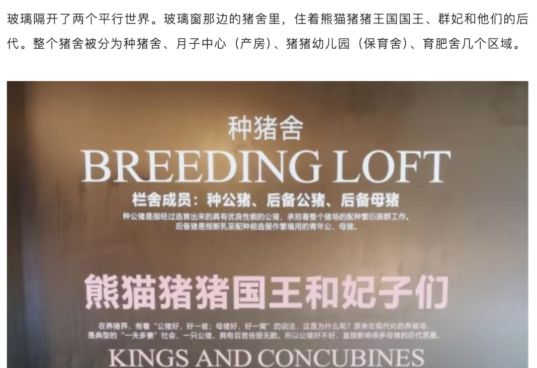 父亲遛狗时2岁孩子坠亡,父亲的责任就是一句“愧疚”???