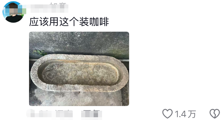咖啡店开猪圈里了???网友:“粪围感十足”